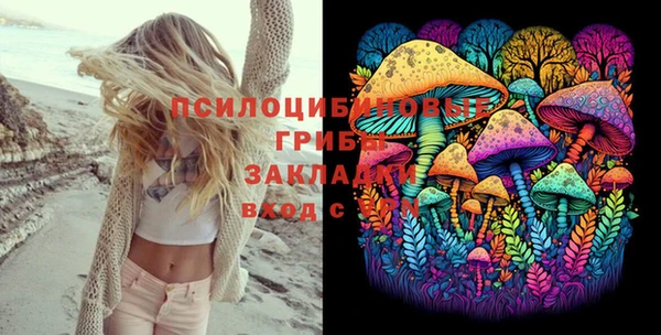 дживик Балахна