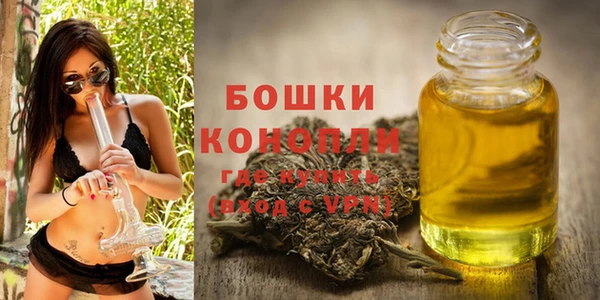 дмт Аркадак