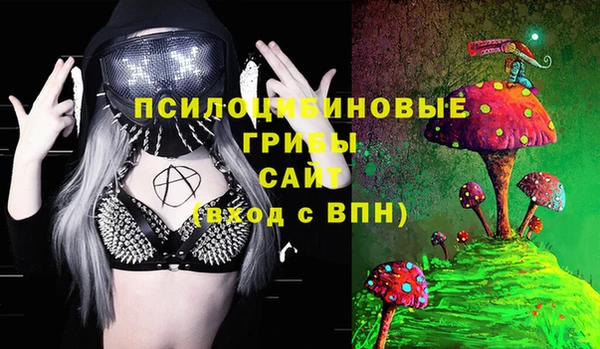 дживик Балахна